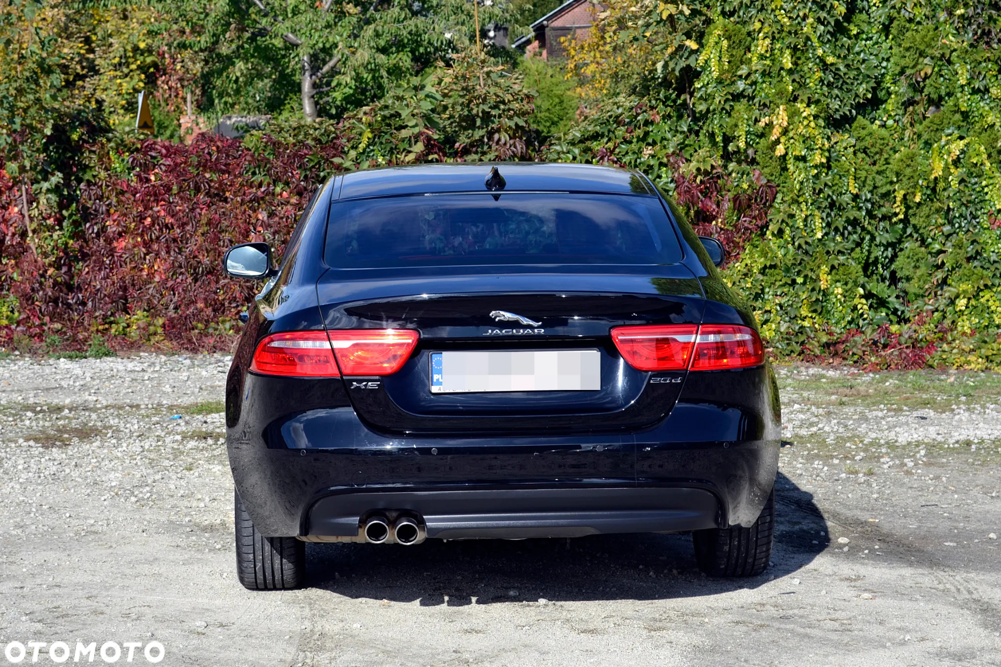 Jaguar XE - 9