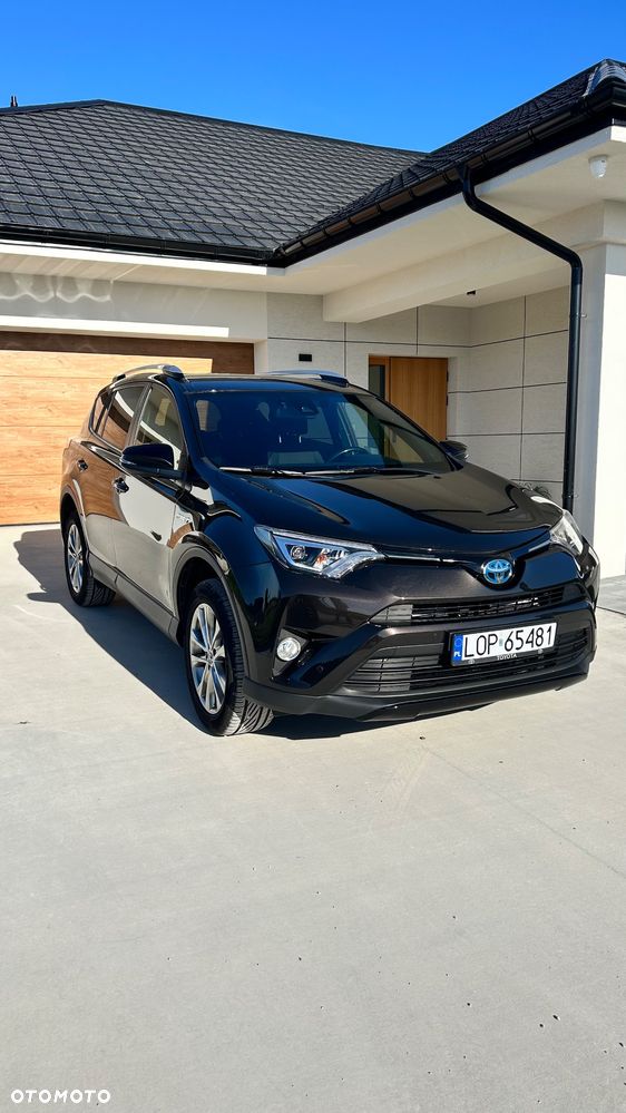 Toyota RAV4 Hybrid Premium 4x2 - 3