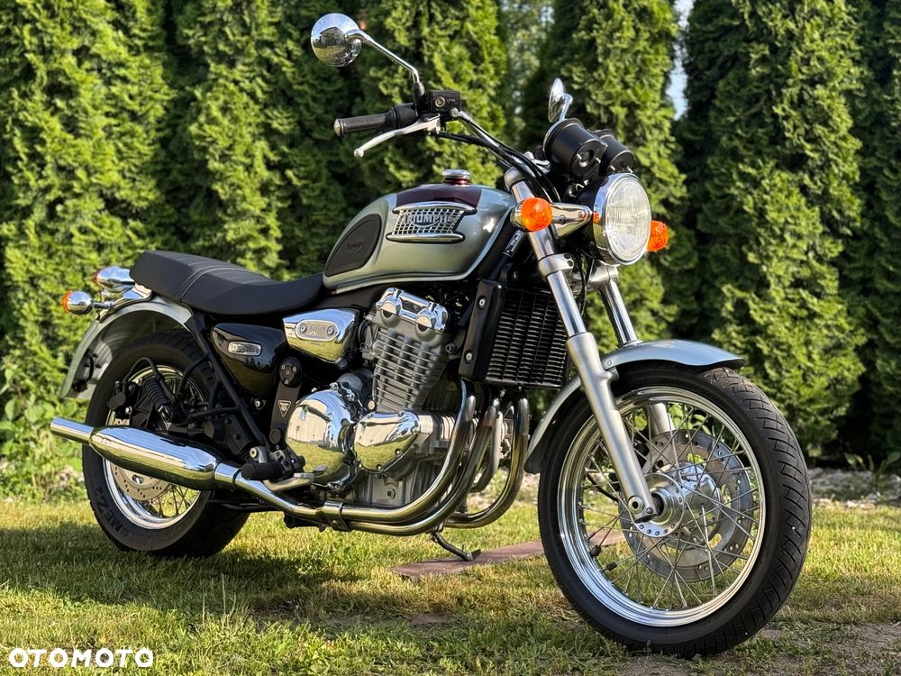 Triumph Thunderbird - 1
