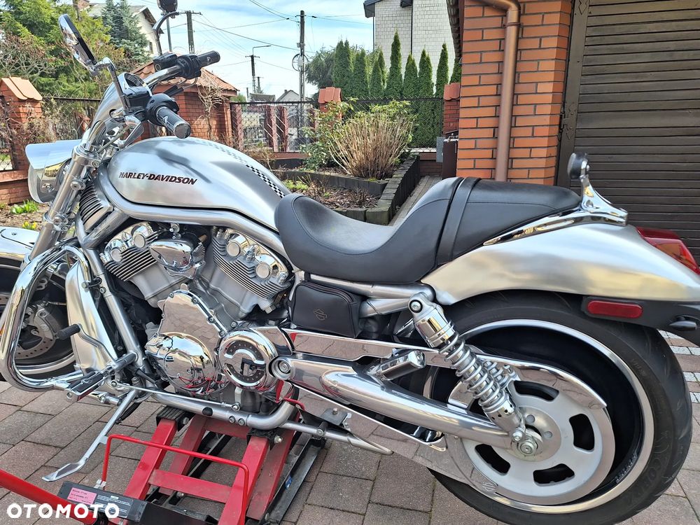 Harley-Davidson V-Rod Street Rod - 7