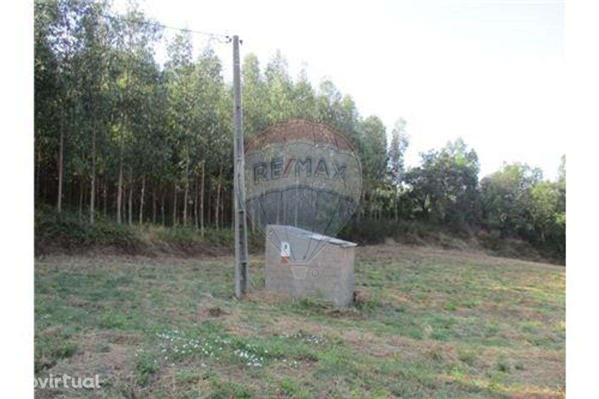 EXCELENTE TERRENO - Grande imagem: 5/5