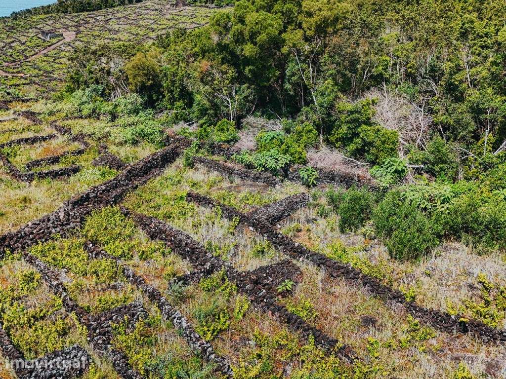 Terreno exclusivo com autenticidade, vista mar e montanha - ilha do... - Grande imagem: 5/19
