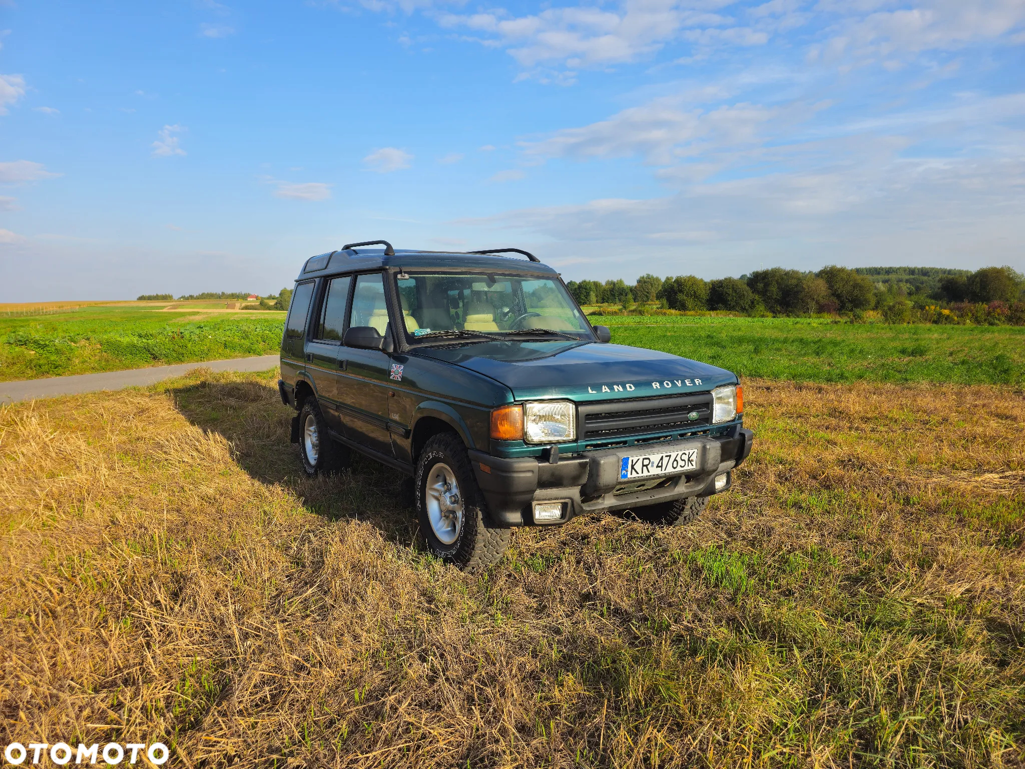 Land Rover Discovery II 4.0 V8 ES - 6