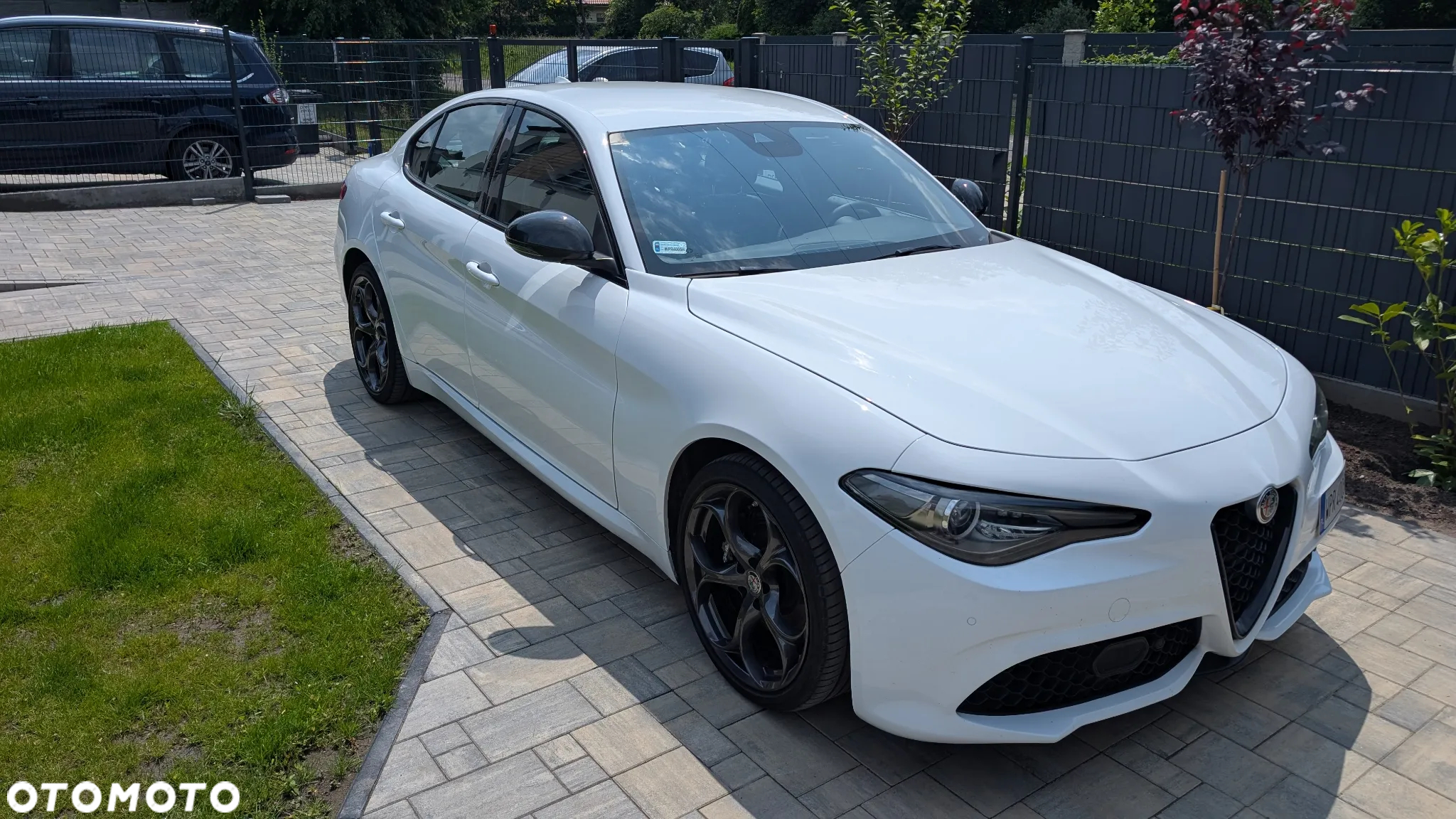 Alfa Romeo Giulia 2.0 Turbo Veloce Q4 - 5