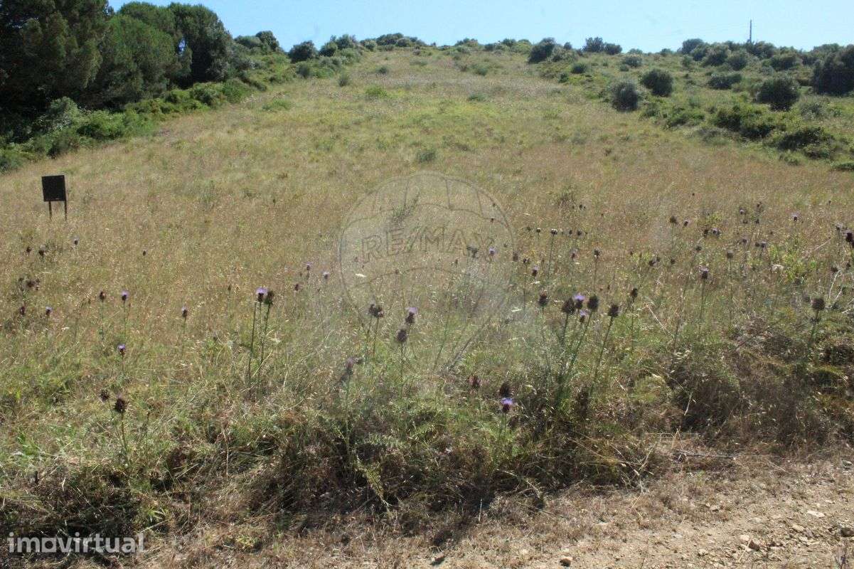 Terreno  para venda - Grande imagem: 3/22