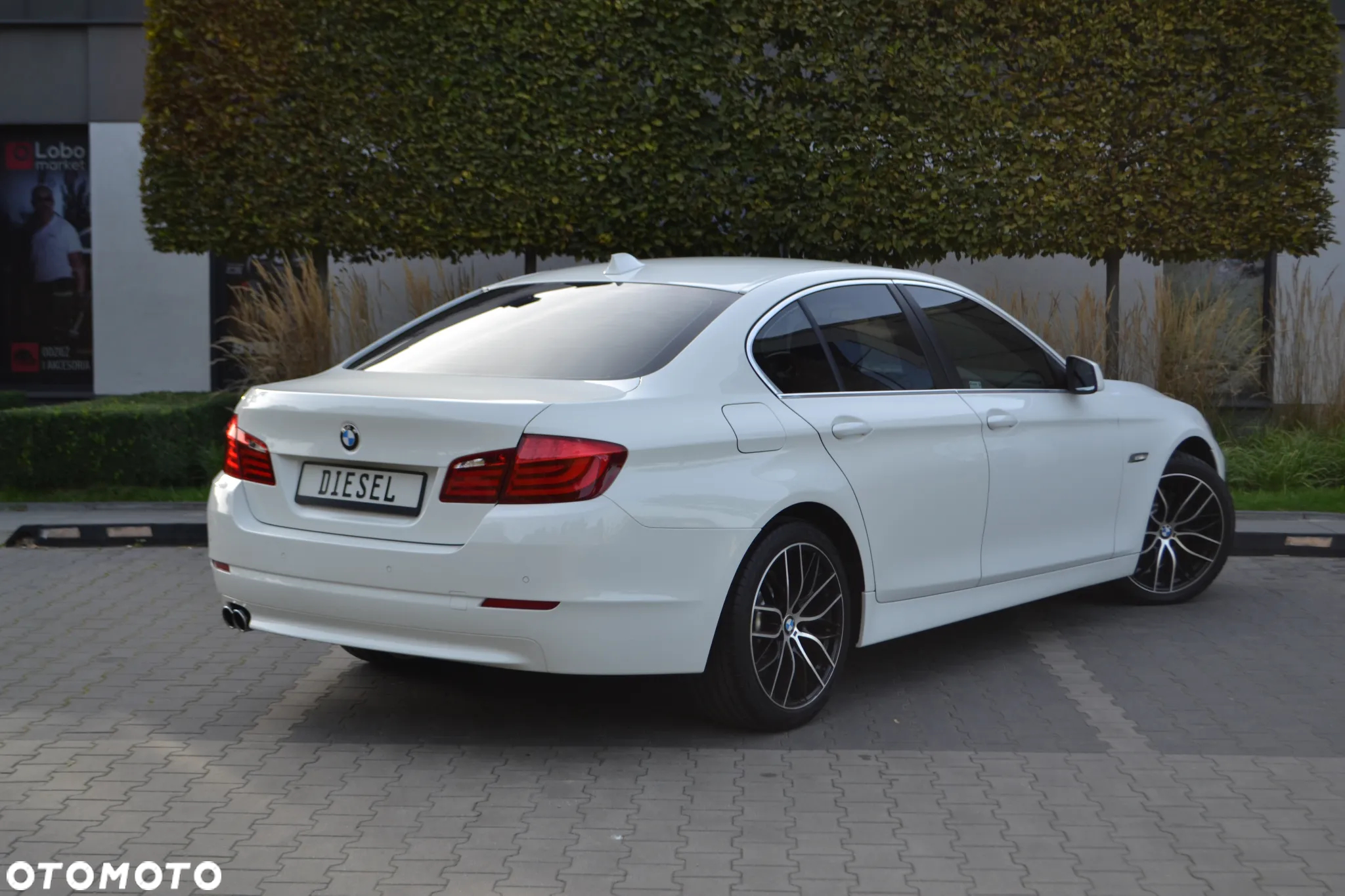 BMW Seria 5 - 6