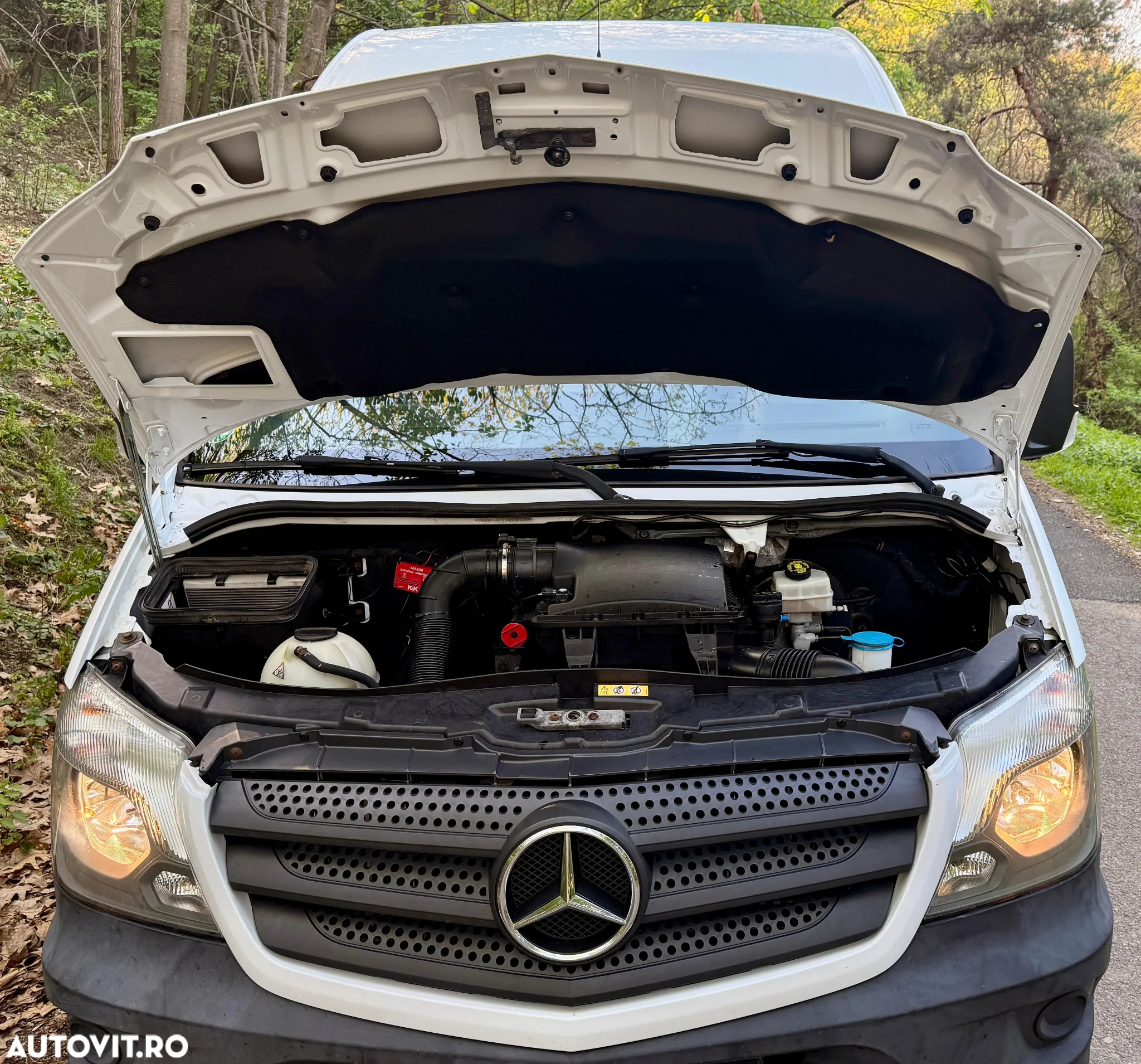 Mercedes-Benz SPRINTER - 16