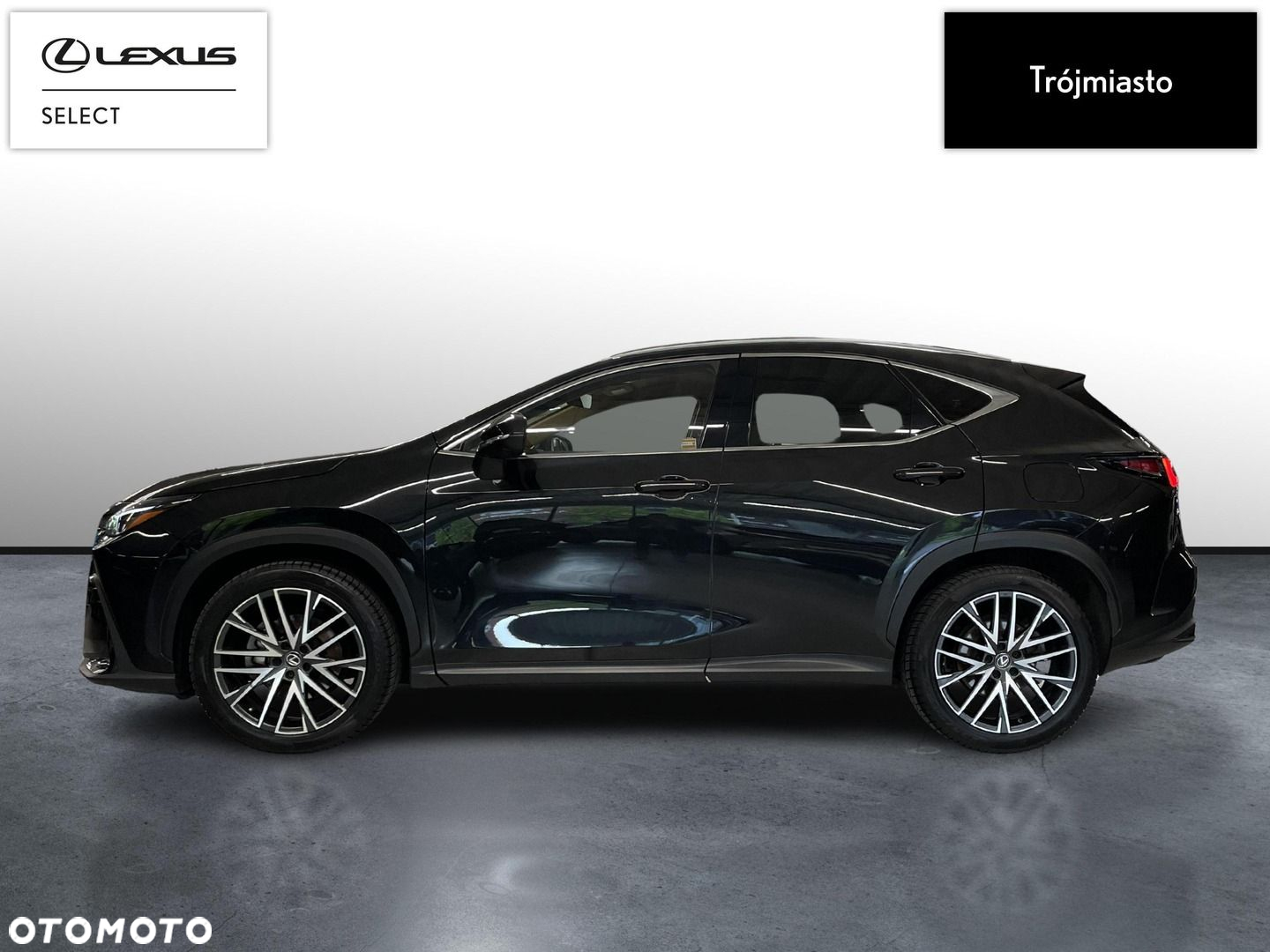 Lexus NX - 9