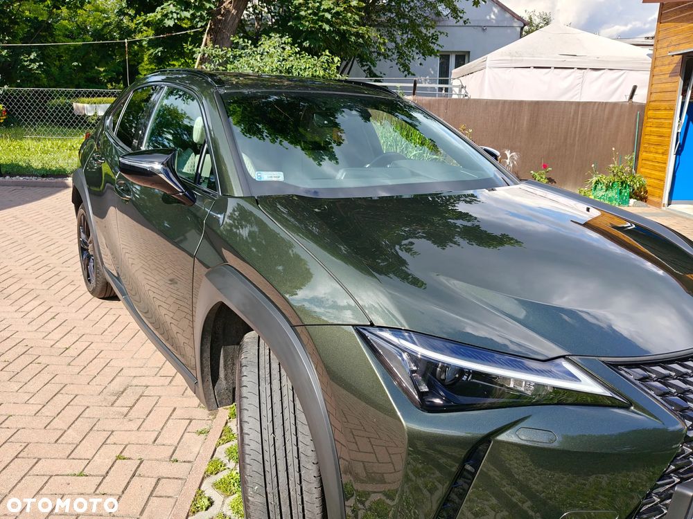 Lexus UX - 15