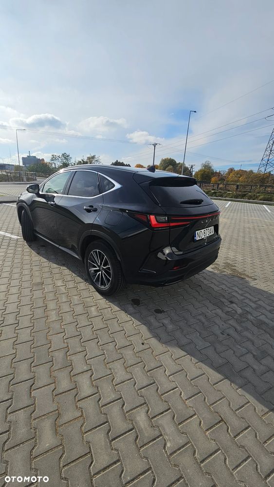 Lexus NX - 5