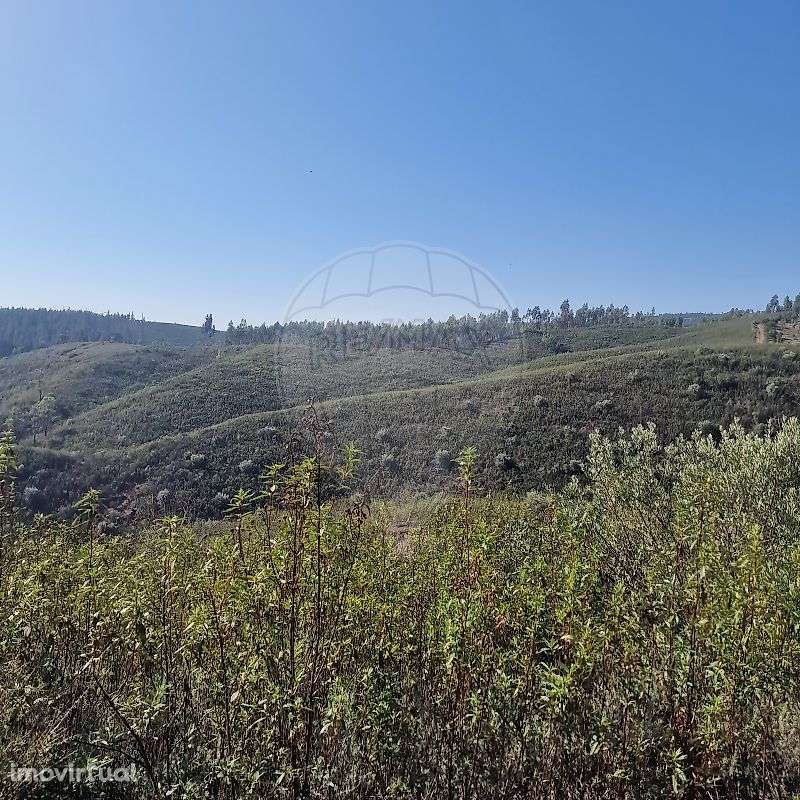 Terreno  para venda - Grande imagem: 5/10