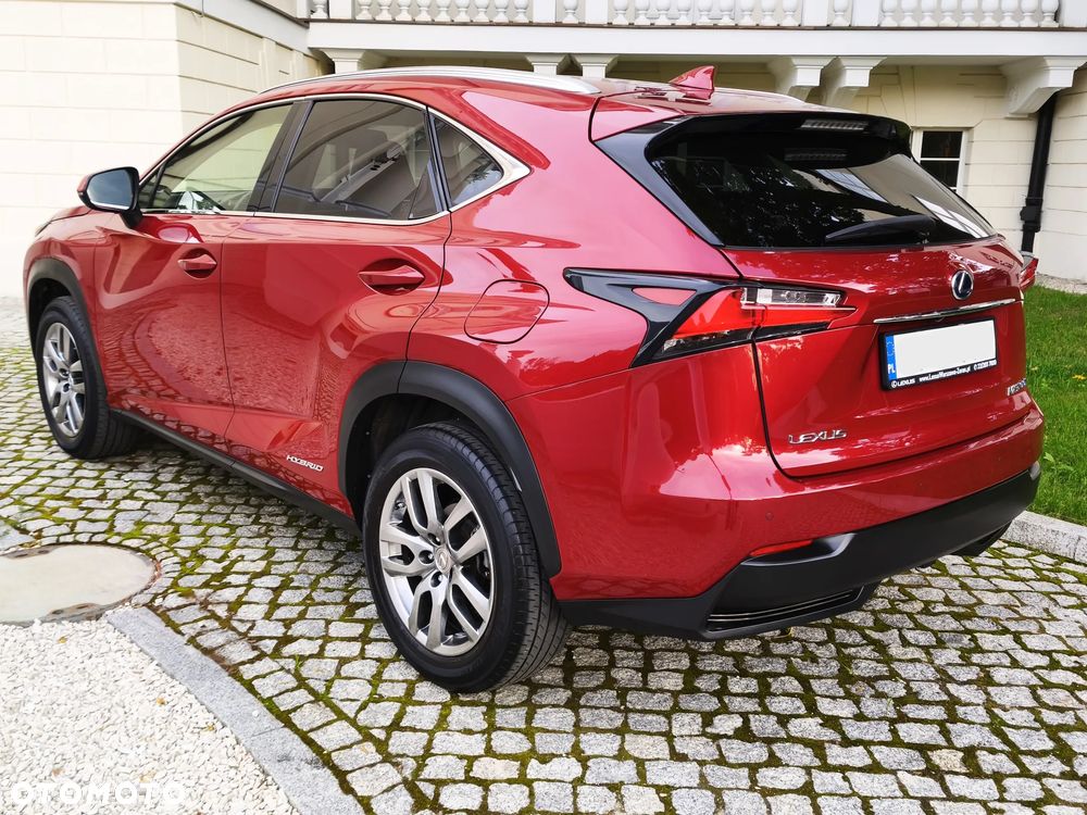 Lexus NX 300h Comfort AWD - 18