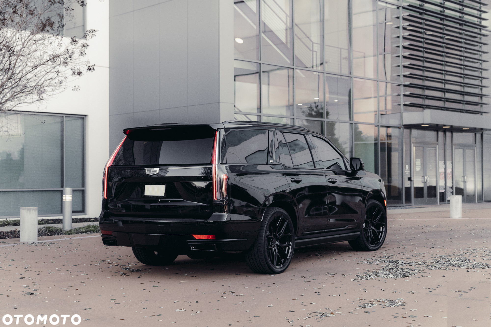 Cadillac Escalade - 14