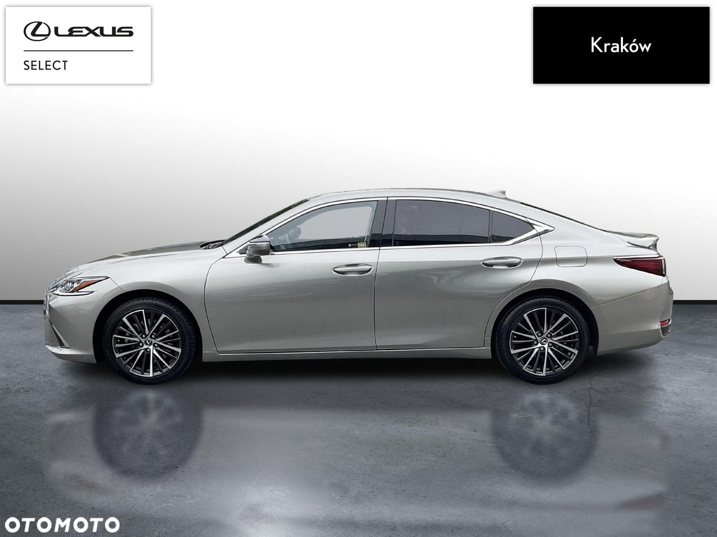 Lexus ES 300h Business Edition - 2