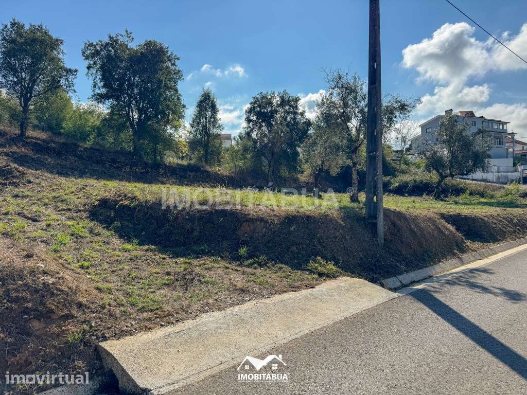 Terreno rústico em Secarias junto à Estrada Principal - Grande imagem: 5/7