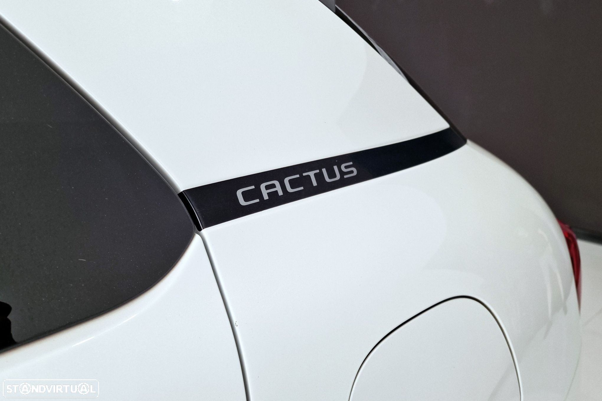 Citroën C4 Cactus 1.2 PureTech Origins - 25