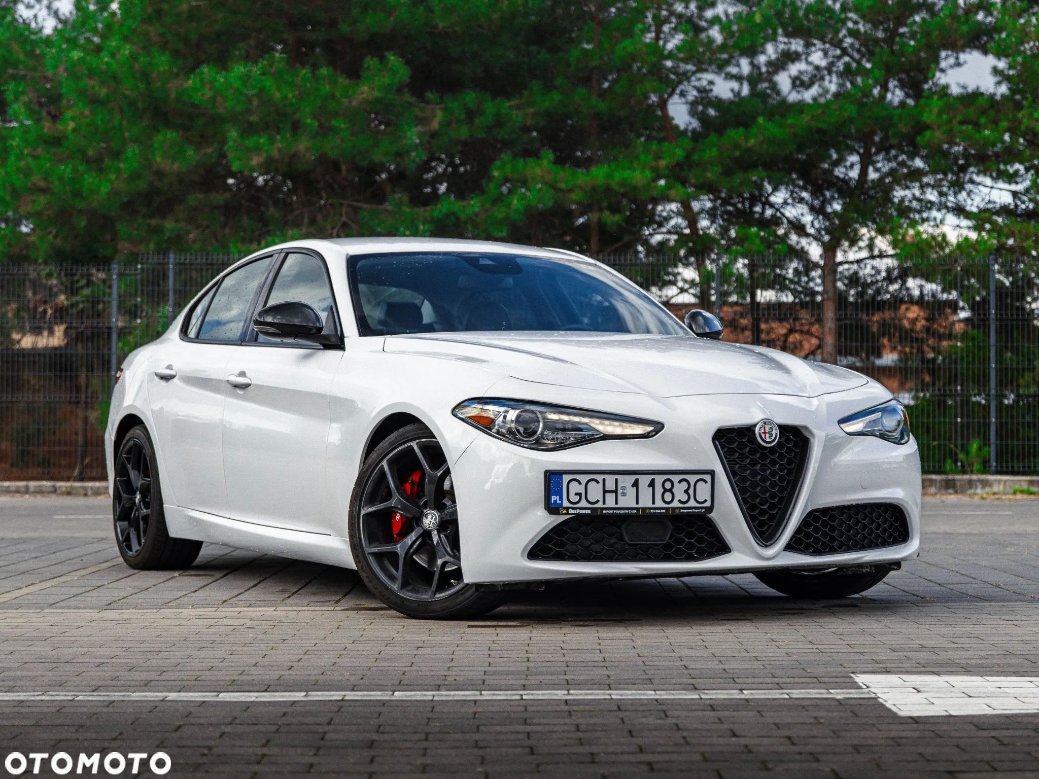 Alfa Romeo Giulia - 1