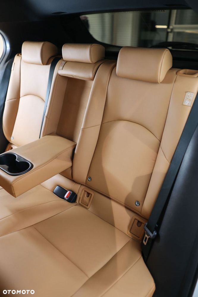 Lexus UX 250h GPF F Sport Design 2WD - 40