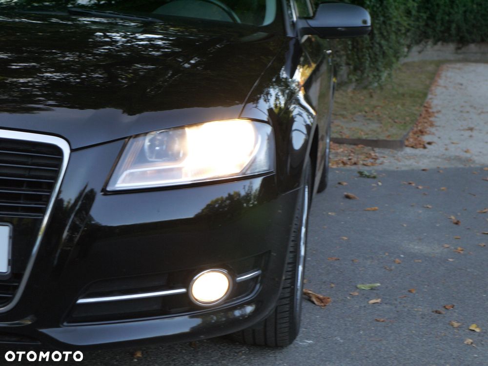 Audi A3 Sportback 1.6 Attraction - 24