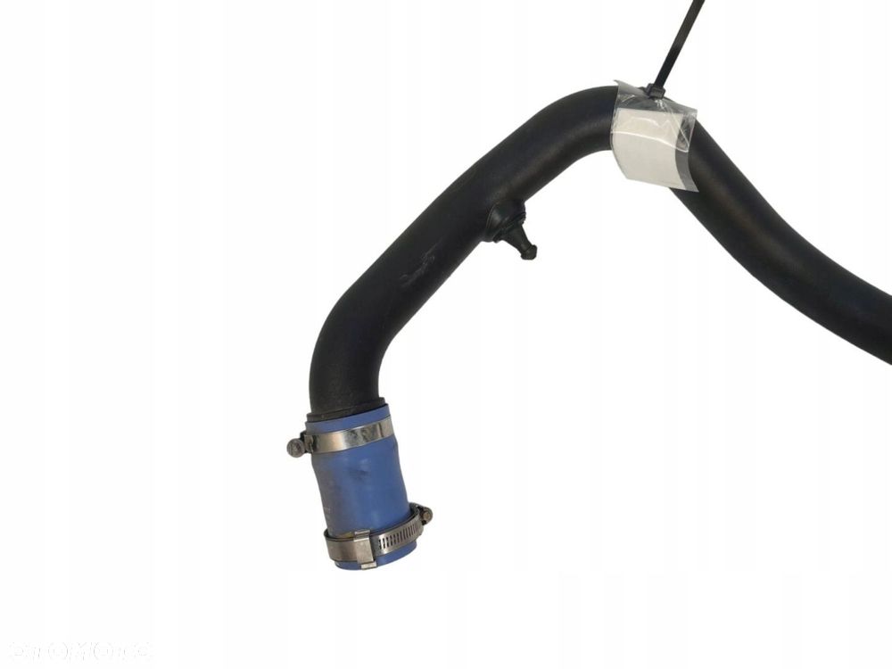 RURA DOLOT POWIETRZA FORD F-150 LIFT (2017-2020) 2.7 V6 EcoBoost 329KM JL346F075CA - 2