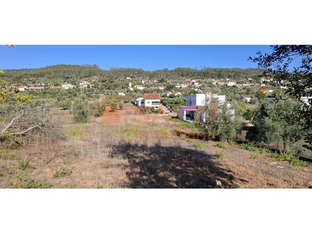 Terreno para construção junto à N110 em Areias e Pias - Grande imagem: 5/6