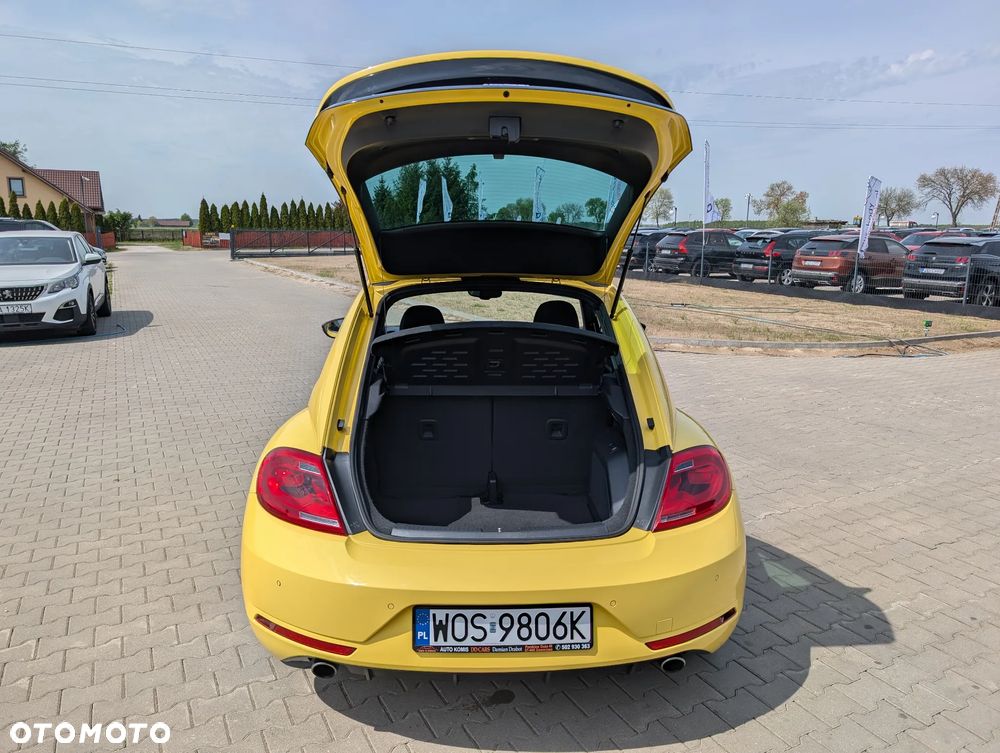 Volkswagen Beetle - 39