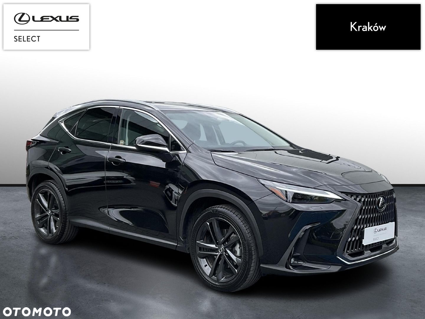 Lexus NX - 7