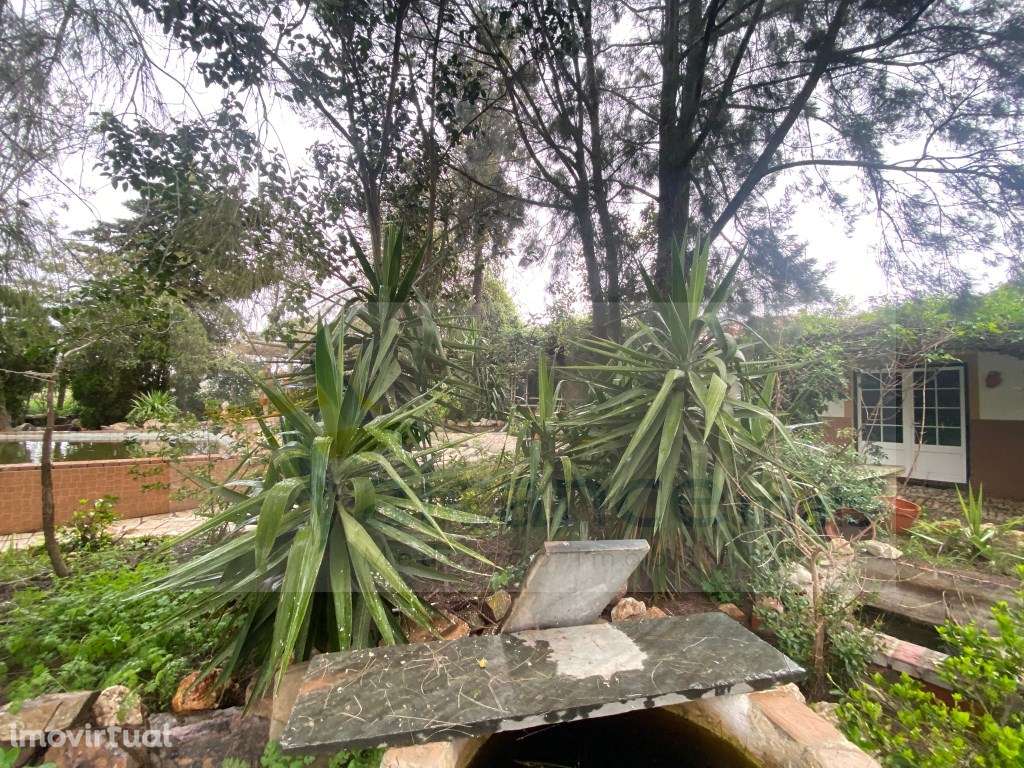 Quintinha de charme com 1,7 ha, capela privada e abundância de água... - Grande imagem: 3/37