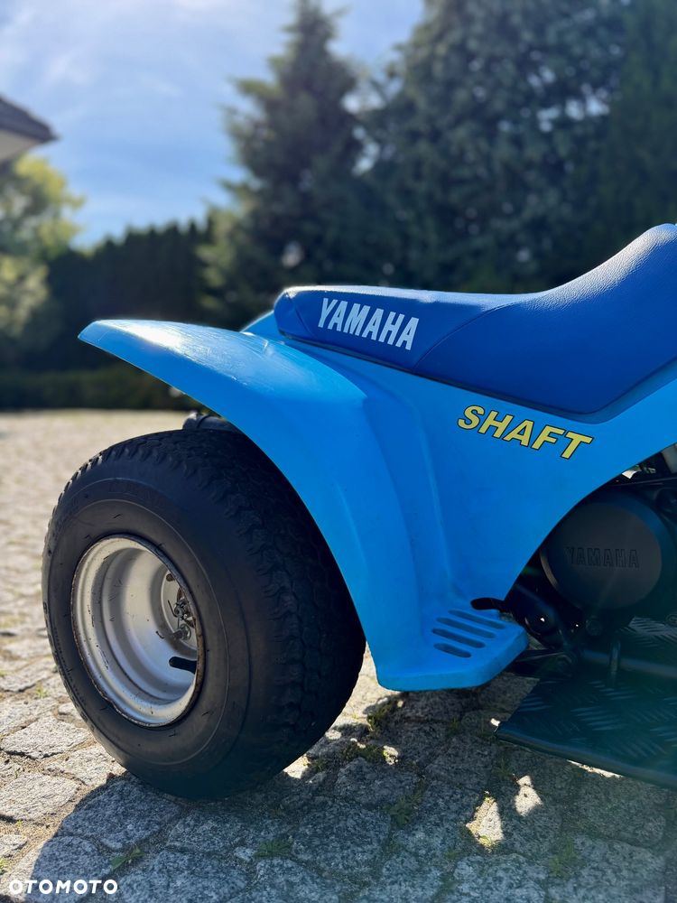 Yamaha Raptor - 6