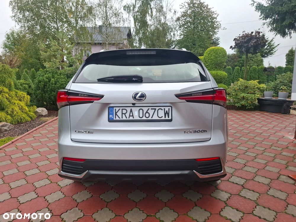 Lexus NX - 6