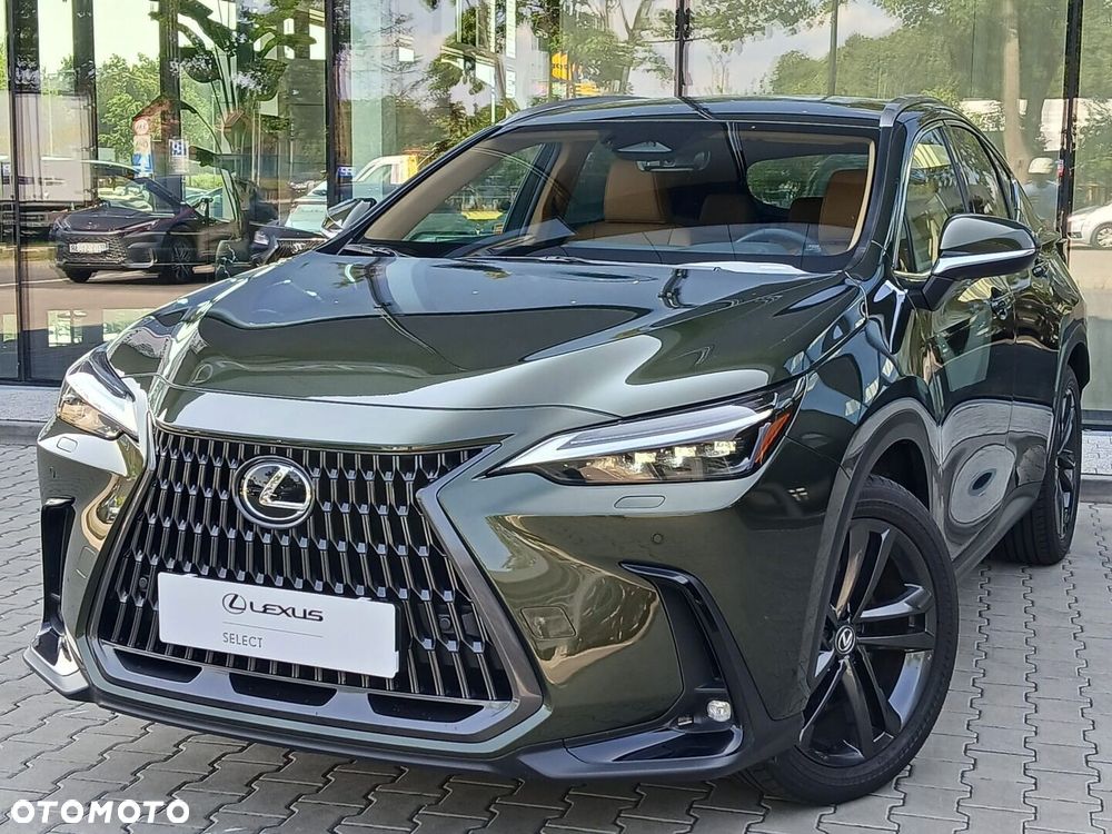 Lexus NX - 10