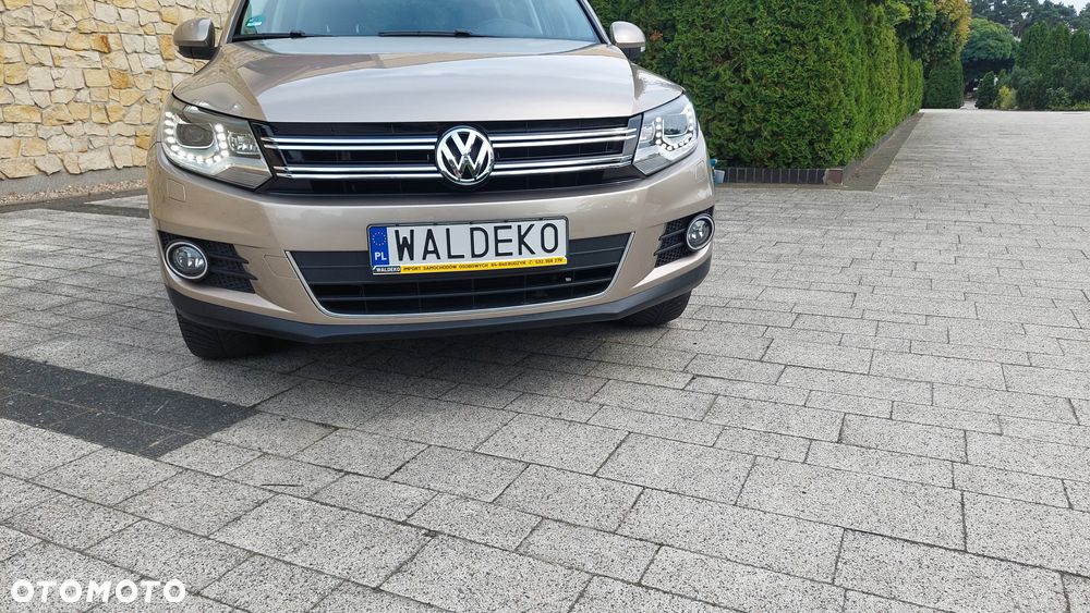 Volkswagen Tiguan - 15