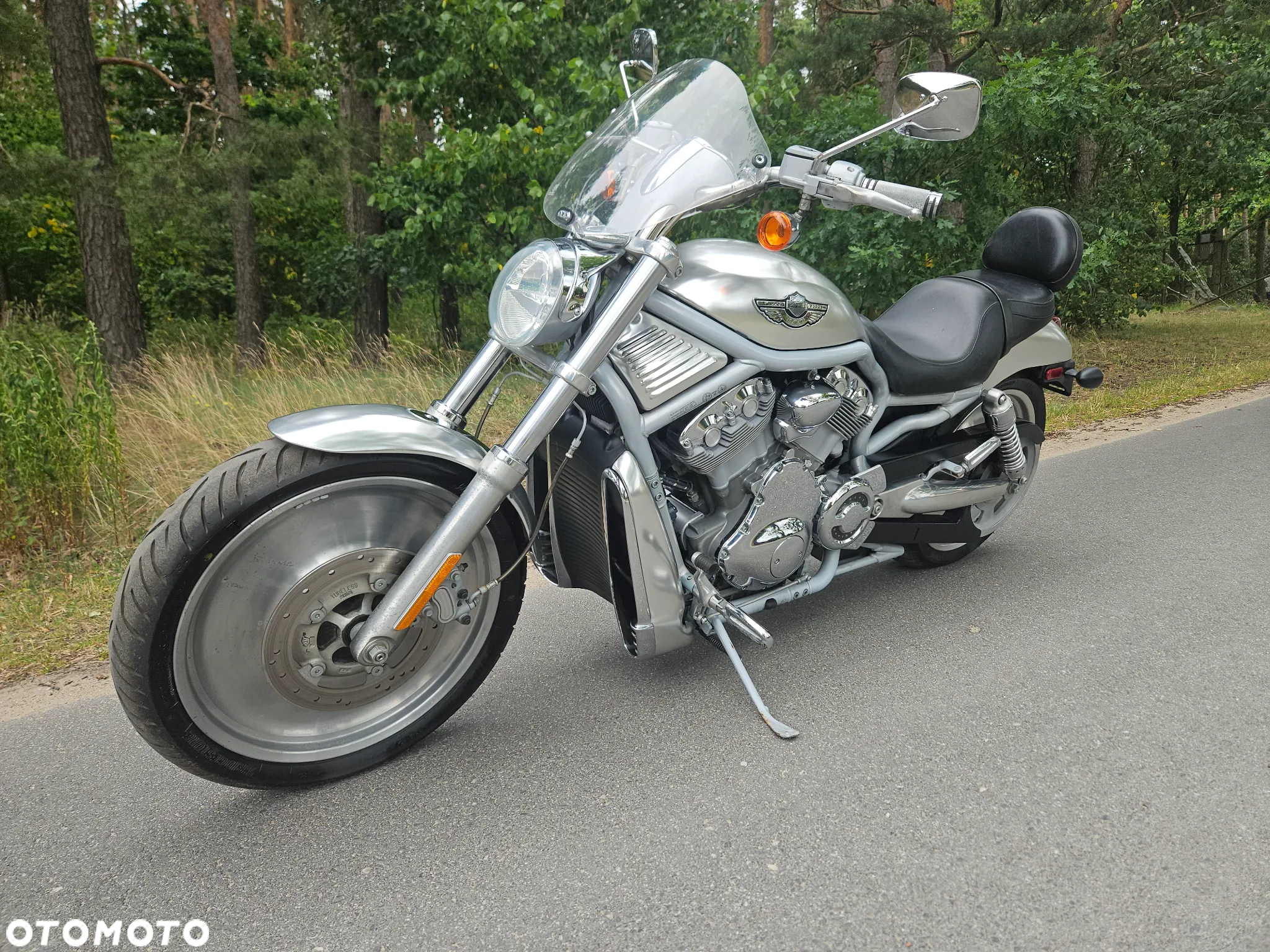 Harley-Davidson V-Rod Street Rod - 13