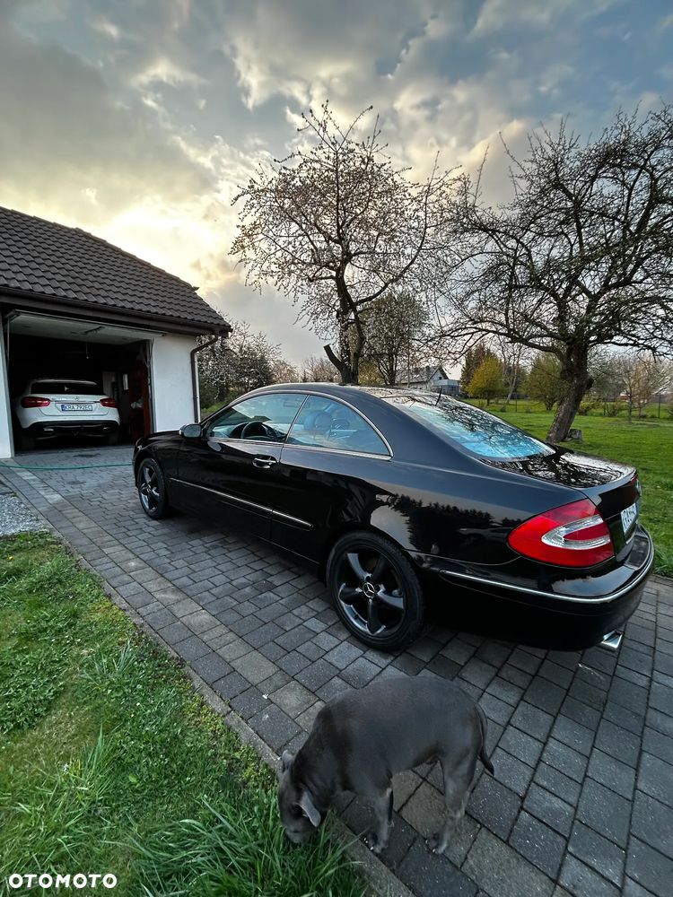 Mercedes-Benz CLK - 8