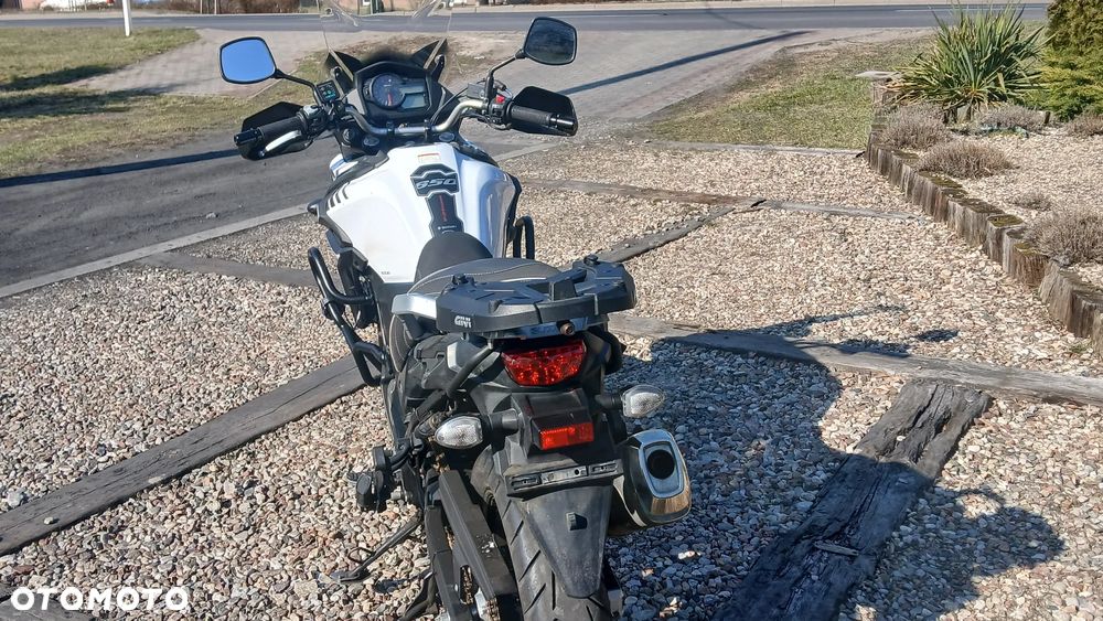Suzuki V-STROM - 10