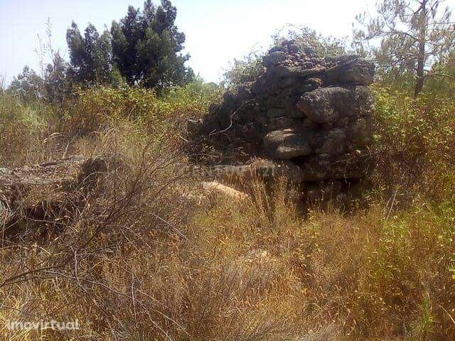 Terreno Rústico, Salgueiro do Campo - Grande imagem: 3/7