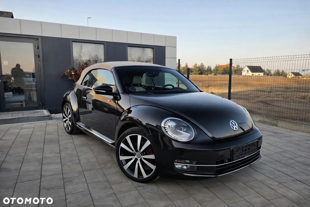Volkswagen Beetle - 10