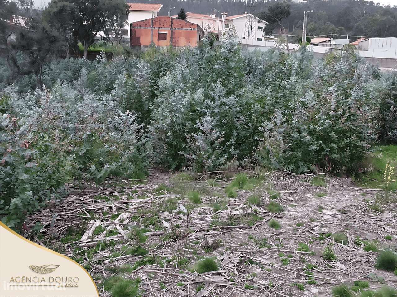 Terreno com 25.580 m², em Santiago de Bougado, Concelho da Trofa - Grande imagem: 2/5