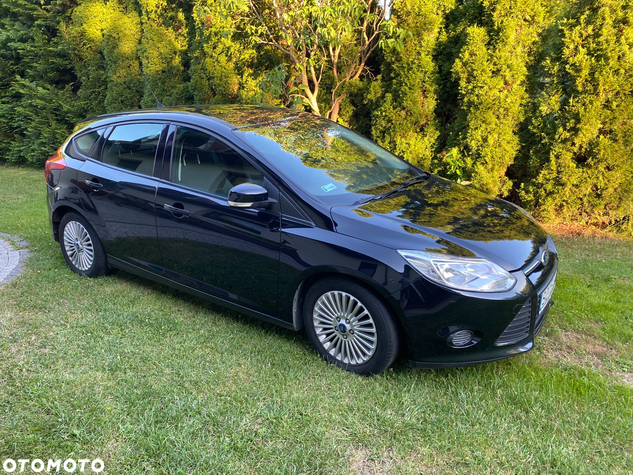 Ford Focus 1.6 TDCi Trend - 6
