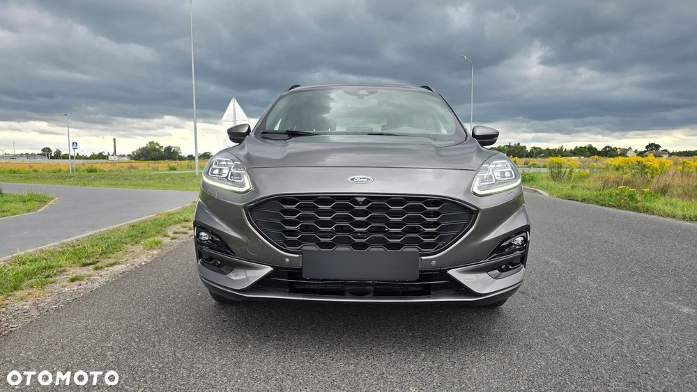 Ford Kuga 2020 photo 3