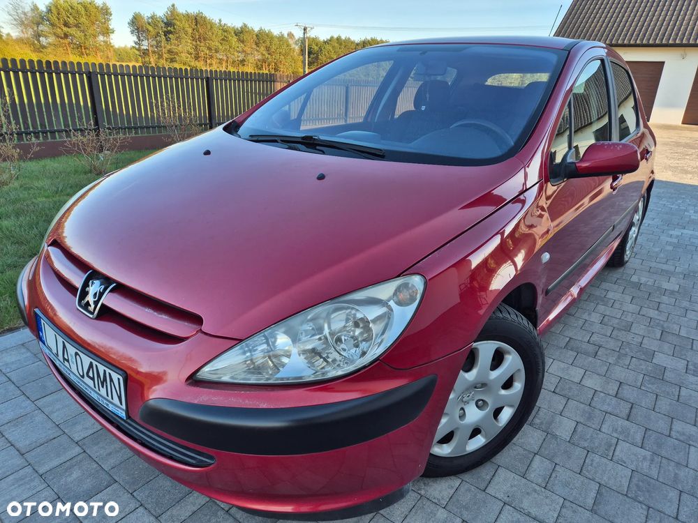 Peugeot 307 1.4 XS - 1
