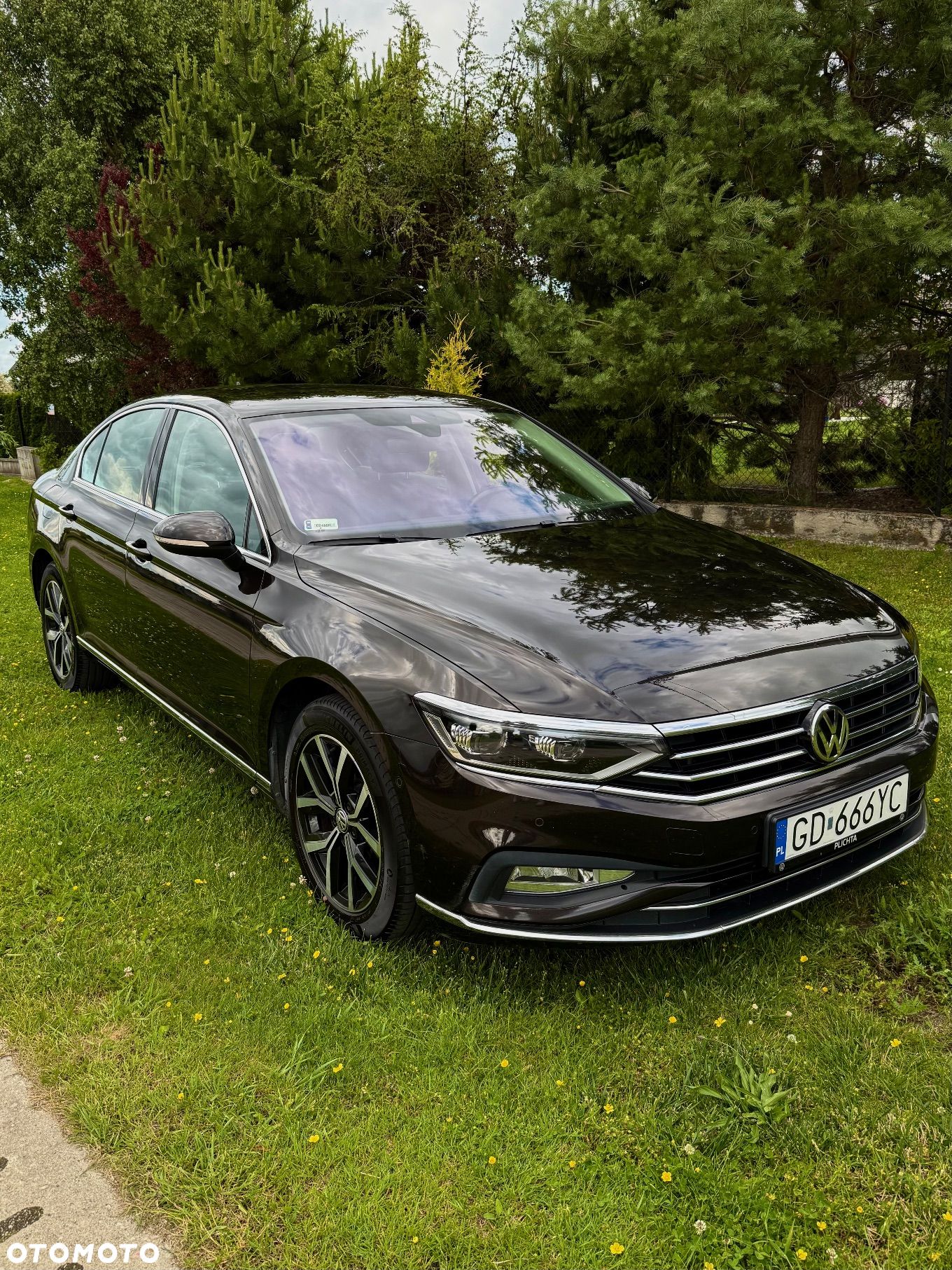 Volkswagen Passat 1.5 TSI EVO Elegance DSG - 1