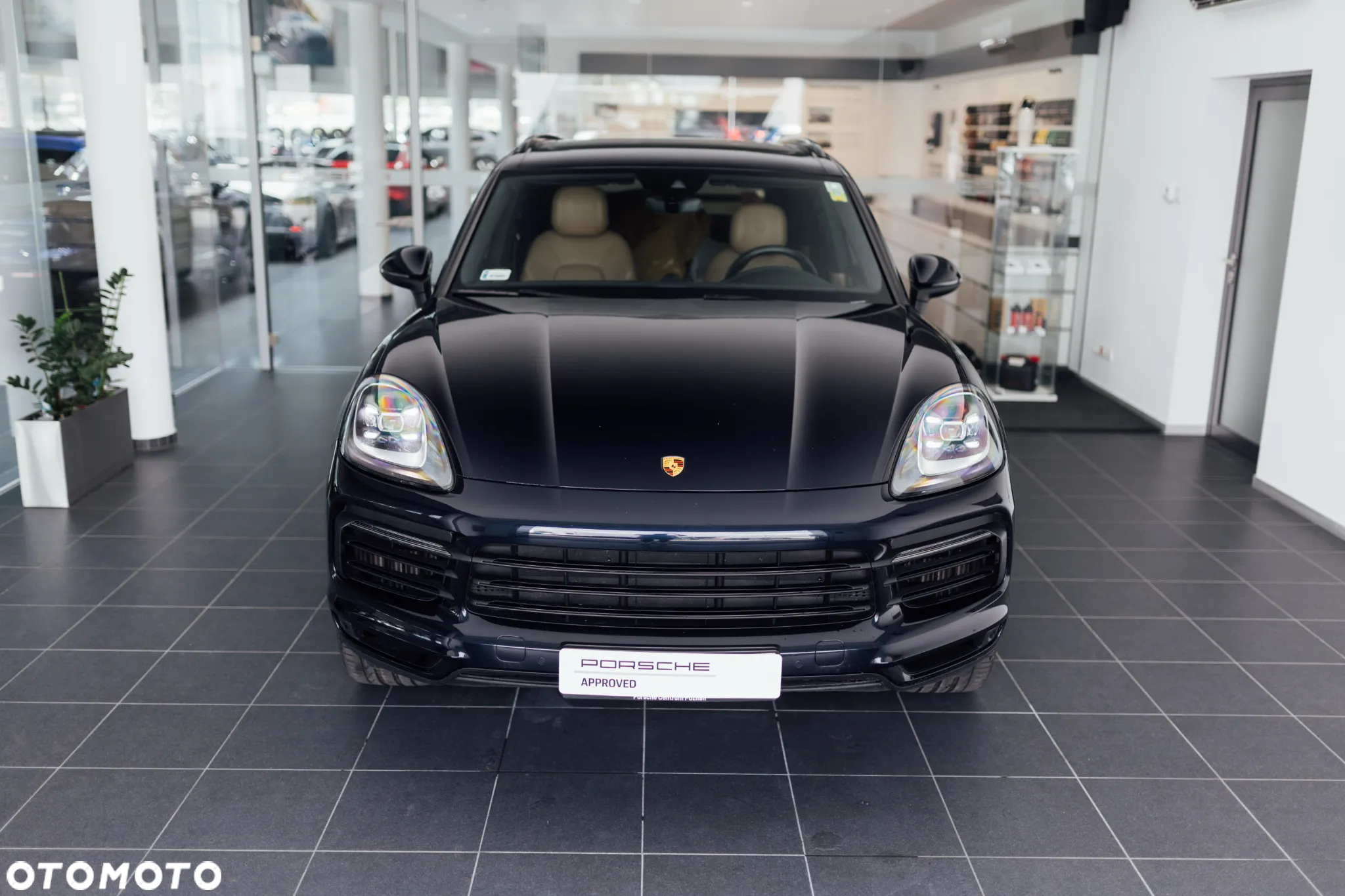 Porsche Cayenne E-Hybrid - 7