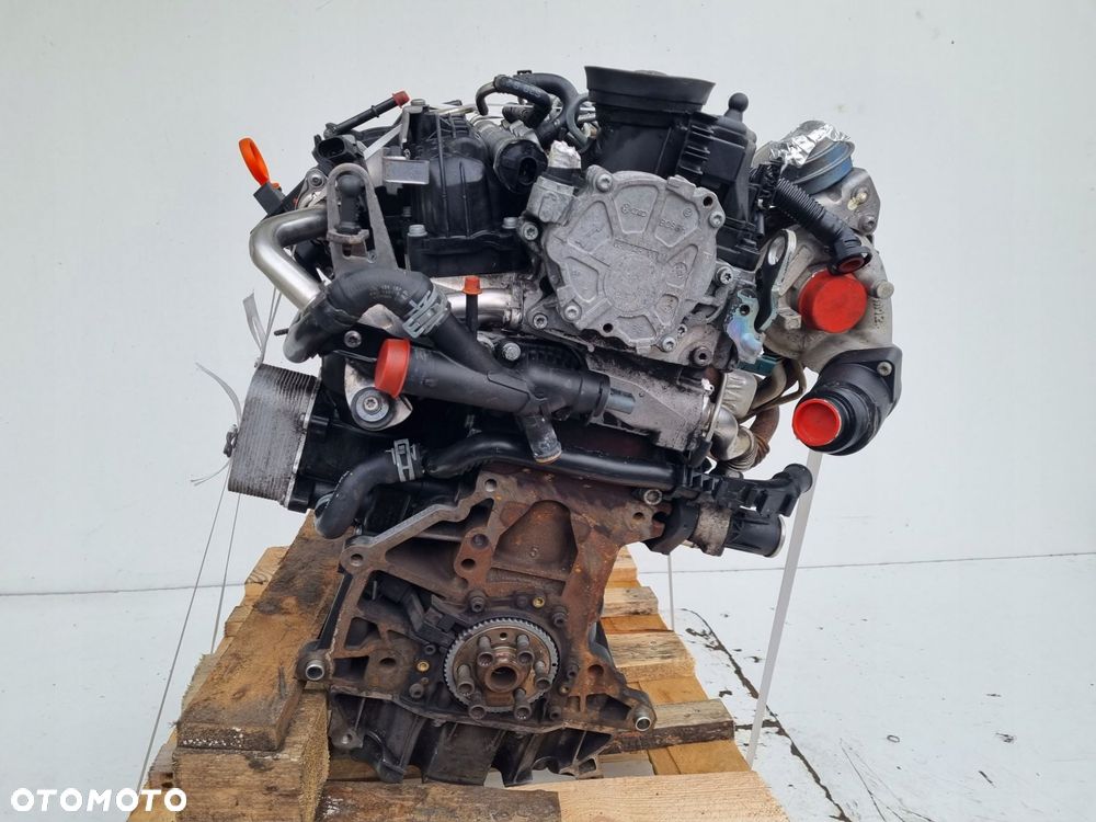 SILNIK BEZ OSPRZĘTU Seat Altea 1.6 TDI 105KM ładnie pali CAY CAYC - 12
