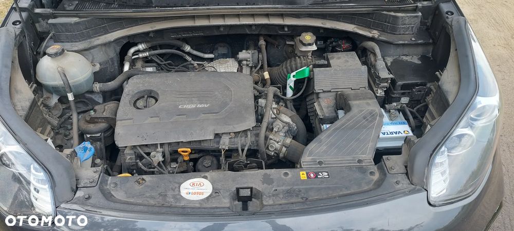 Kia Sportage - 25