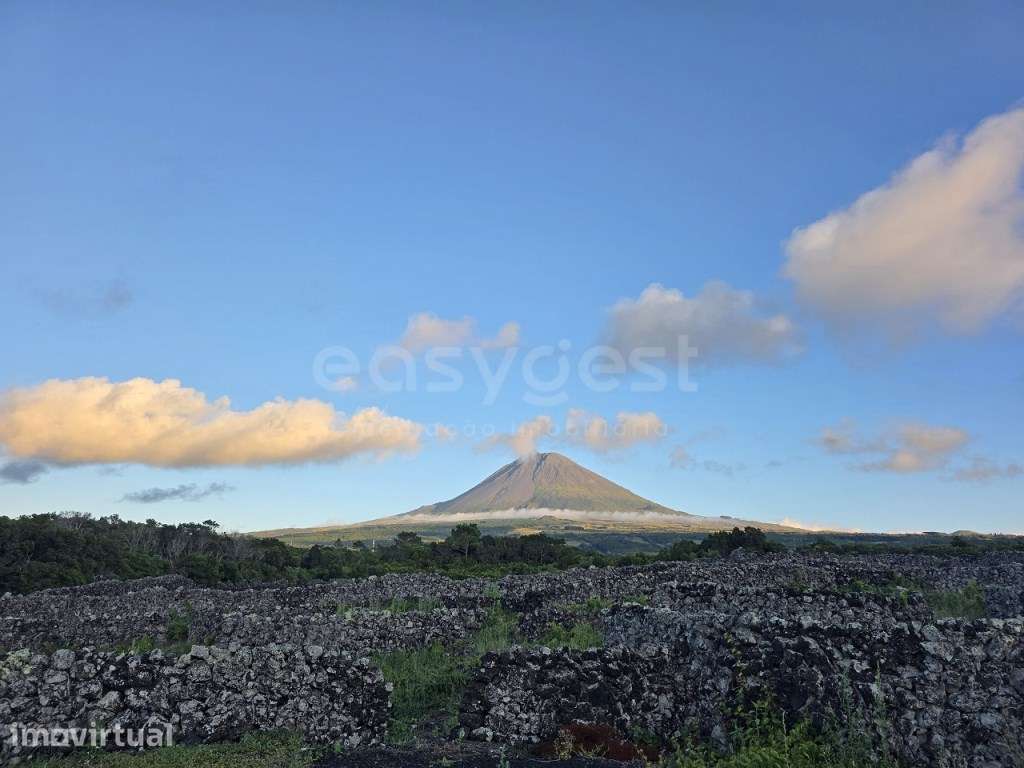 Vinha e Potencial de Construção Bandeiras, Ilha do Pico - Grande imagem: 4/11