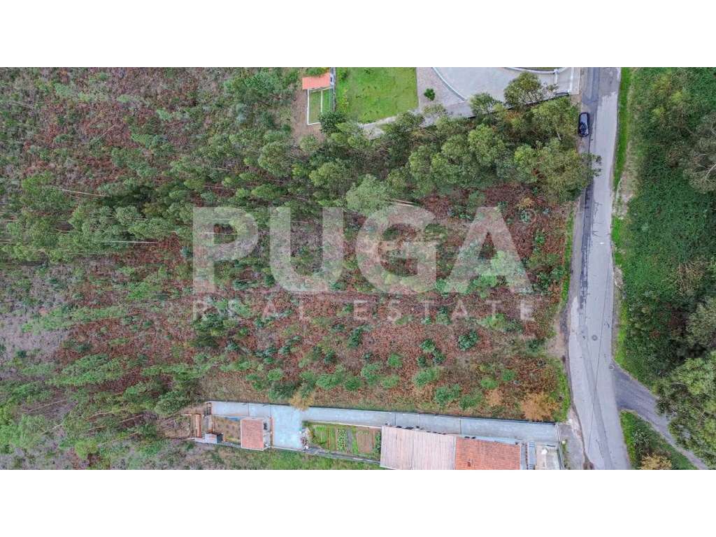 Oportunidade única em Vila Maior - Terreno com 1619m2 e óptima loca... - Grande imagem: 4/5