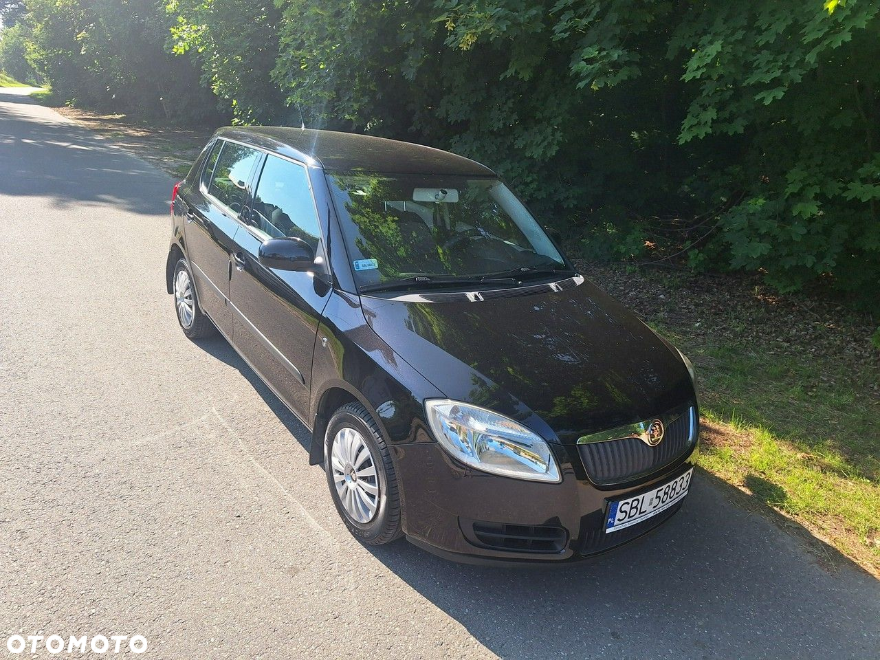Skoda Fabia - 25