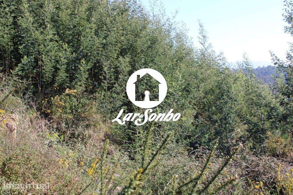 Lote para construção de Moradia - Grande imagem: 5/22