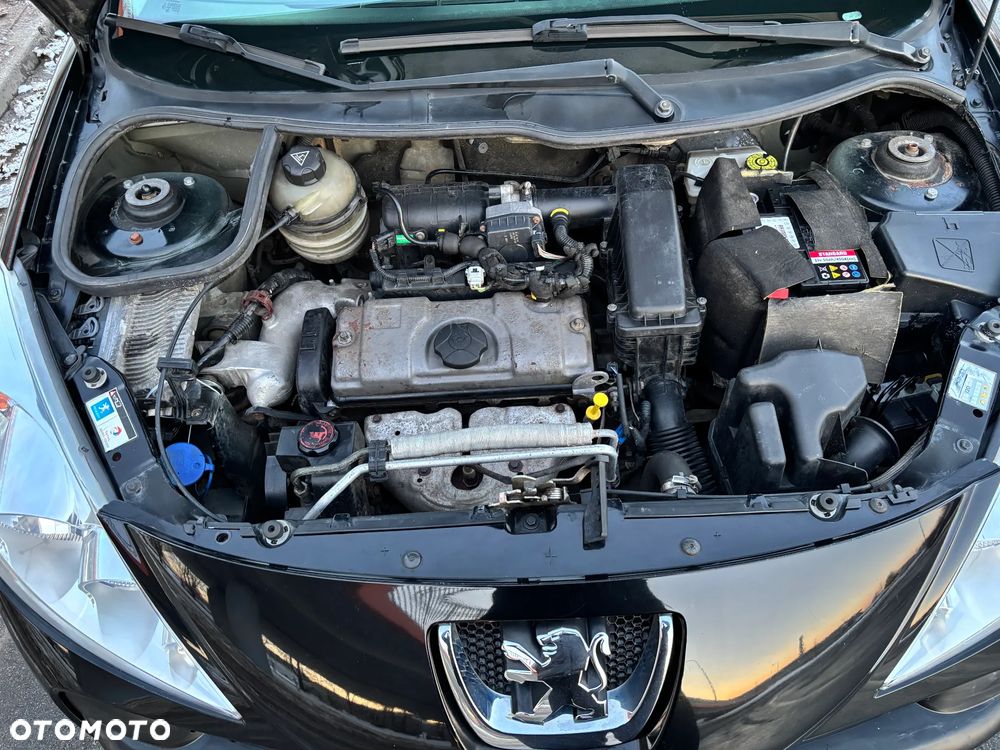 Peugeot 206 plus 60 - 33